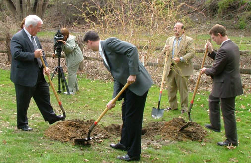 Tree Planting