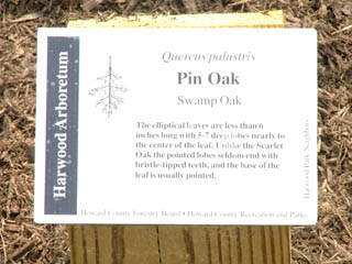 Pinoak sign