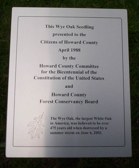 Wye Oak Sign