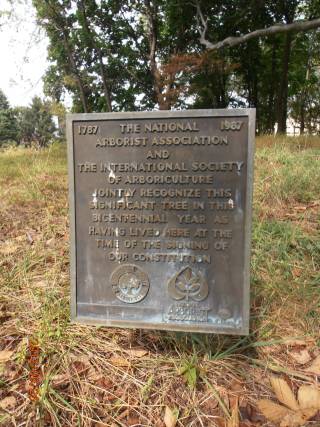 Dedication Plaque