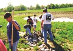 Planting at Mount View Middle