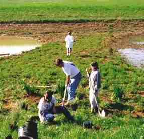Planting at Mount View Middle