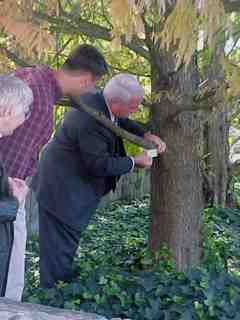 Robey tagging the Cypress
